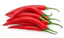 大瓜吃辣椒,辣椒美食盛宴