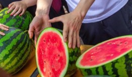 多方吃瓜,揭秘娱乐圈最新热点事件