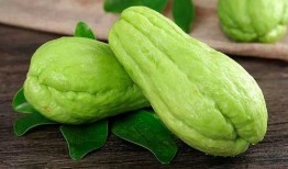 木桃吃瓜后续,揭秘娱乐圈背后的秘密与真相