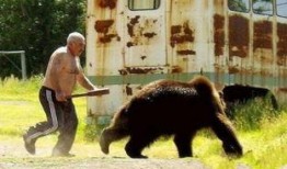 俄罗斯熊吃瓜,一场跨越国界的美食之旅