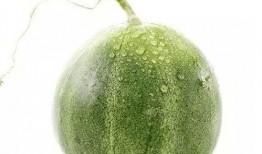 北京吃瓜的讲究,品味北京特色，解锁夏日消暑秘籍