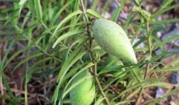 老瓜瓢小孩吃,一段童趣盎然的童年回忆