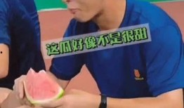 蓝朋友吃瓜现场,揭秘娱乐圈幕后真相