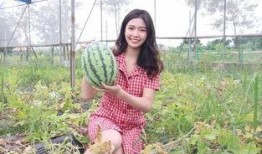 外围网红吃瓜福利,揭秘娱乐圈幕后故事