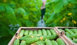 财经和南理吃瓜,揭秘校园财经圈的那些事儿