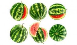 无绣瓜怎么吃,探索清新口感的新选择