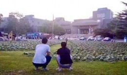 安新校园吃瓜事件,揭秘校园八卦背后的真相