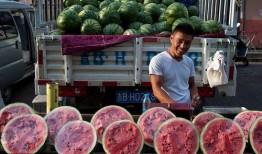 广西桂林吃瓜群众,揭秘当地美食风云录