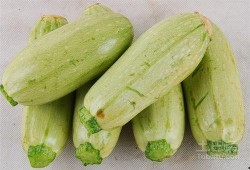 吃瓜得瓜图片,揭秘网络流行语的趣味与哲理