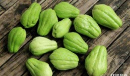 聪明瓜怎么吃,开启智慧生活的美味之旅