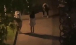 大学男生尴尬吃瓜现场,大学男生吃瓜现场揭秘