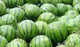 吃瓜吃多了上火,揭秘夏季饮食健康之谜