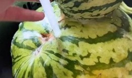 宁津吃瓜视频,揭秘当地特色美食背后的故事