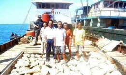 渔民吃瓜菲律宾现场,现场直击，揭秘热带风情下的渔村生活