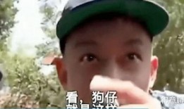 吃瓜网黑脸,网络舆论背后的真相与反思