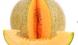 感冒可以吃哈密瓜吗,哈密瓜是良伴还是禁忌？