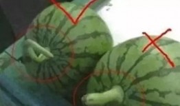 就知道吃瓜,揭秘娱乐圈背后的那些事儿