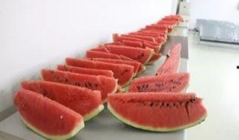 洛阳广场吃瓜,夏日吃瓜盛况，街头风情一瞥