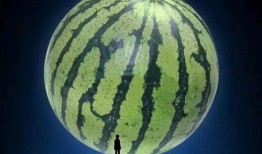 吃瓜今日吃瓜必吃瓜图片,吃瓜群众聚焦的瓜界焦点图鉴