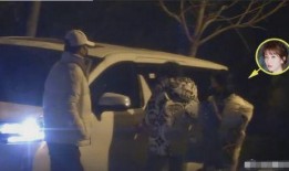 吃瓜认亲,一场跨越时空的亲情大揭秘