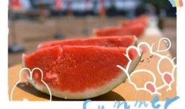 人在吃瓜中瓜从天上来,揭秘“人在吃瓜中瓜从天上来”的神奇现象