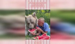 俄罗斯熊吃瓜,一场跨越国界的美食之旅