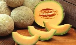 吃绿豆可以吃哈密瓜吗,健康搭配的饮食新主张