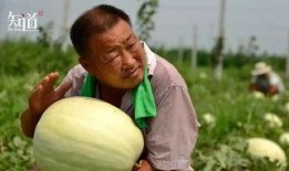 吃瓜群众怎么拍摄,吃瓜群众如何轻松拍摄精彩瞬间