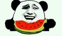 说给吃瓜群众,吃瓜群众眼中的明星幕后故事