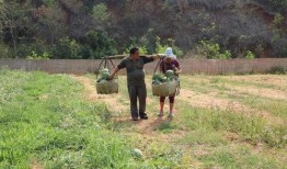 吃瓜群众珲春,吃瓜群众眼中的魅力之城