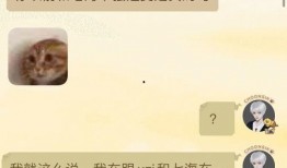 吃瓜盟主后续,揭秘娱乐圈背后的秘密与风云变幻