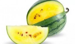 吃瓜今日吃瓜必吃瓜图片,吃瓜群众聚焦的瓜界焦点图鉴