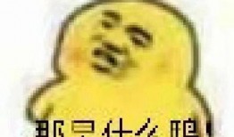 吃瓜表情包 图片搞笑,吃瓜表情包里的欢乐时光