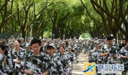 军训凉亭吃瓜事件,校园风波背后的清凉一夏