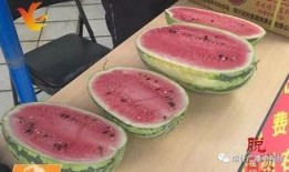 从化吃瓜,探寻岭南特色美食之旅