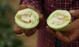 搞笑带货直播吃瓜,吃瓜群众狂欢盛宴