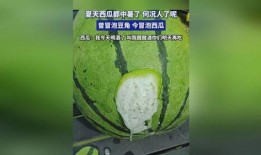 吃瓜喝白酒,一场别开生面的白酒与瓜果盛宴