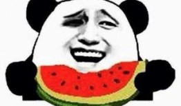 吃瓜了好吗,吃瓜群众的好奇心之旅