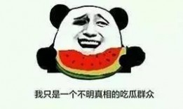 老司机吃瓜群众,揭秘娱乐圈幕后真相