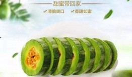 冬天吃萝卜夏吃瓜好吗,冬天萝卜夏天瓜，养生之道尽在其中