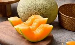 吃货大飞吃哈密瓜干,甜蜜滋味尽享舌尖盛宴