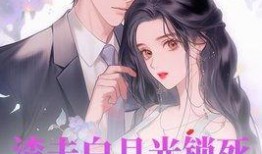 酱酱吃瓜小说,揭秘娱乐圈背后的秘密与真相