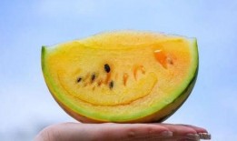 吃瓜吃得什么瓜