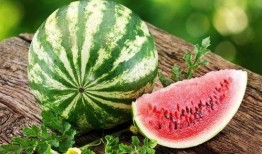 种l瓜吃丑瓜怎样表达,揭秘农业生产的意外之喜