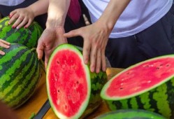 广州吃瓜大学,大学生活的多面镜