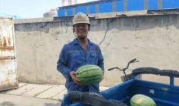 吃瓜群众幸福啊,揭秘网络时代的快乐源泉