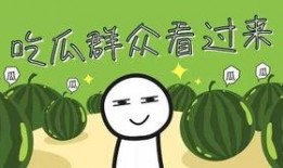 全家吃瓜完整版,一场全民参与的欢乐盛宴