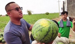 吃瓜行程图片,一场视觉盛宴的幕后故事