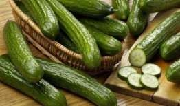 密瓜不能和什么吃,密瓜相克食物大盘点，这些搭配要避免