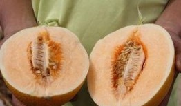 超级吃瓜全部,揭秘娱乐圈幕后风云